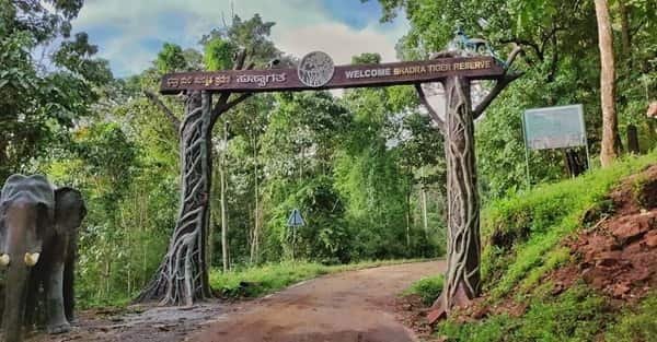 Bhadra Wildlife Sanctuary, Karnataka