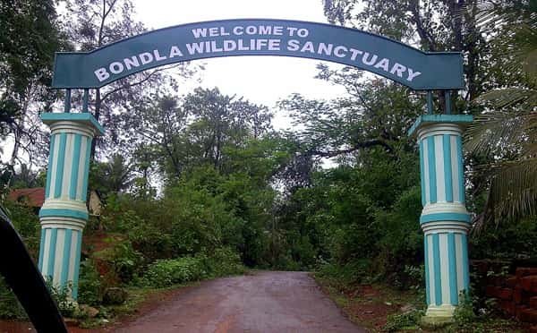 Bondla Wildlife Sanctuary, Goa: Timings, Ticket Price, How To Reach, Best Time to Visit