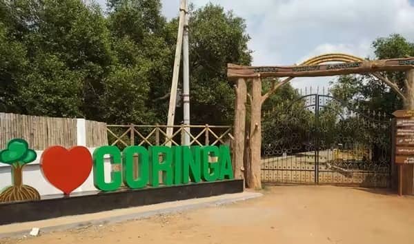 Coringa Wildlife Sanctuary, Kakinada