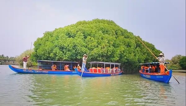 Kadalundi Bird Sanctuary, Kozhikode