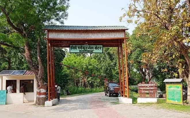 Katarniaghat Wildlife Sanctuary, Bahraich: Timings, Ticket Price, How To Reach, Best Time to Visit