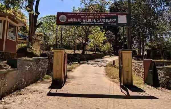 Muthanga Wildlife Sanctuary, Wayanad