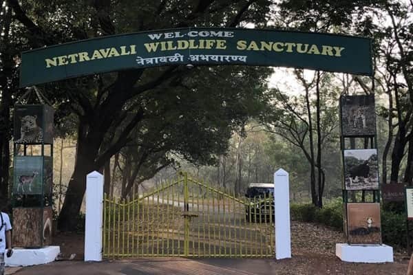 Netravali Wildlife Sanctuary, Goa