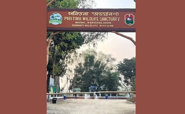 Pobitora Wildlife Sanctuary, Guwahati: Timings, Ticket Price, How To Reach, Best Time to Visit