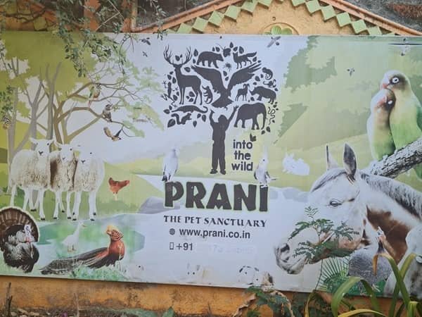 Prani Pet Sanctuary, Bengaluru: Timings, Ticket Price, How To Reach, Best Time to Visit
