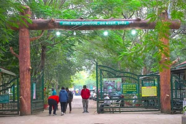 Ralamandal Wildlife Sanctuary, Indore: Timings, Ticket Price, How To Reach, Best Time to Visit