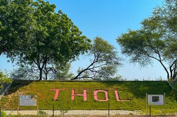 Thol Bird Sanctuary, Ahmedabad: Timings, Ticket Price, How To Reach, Best Time to Visit