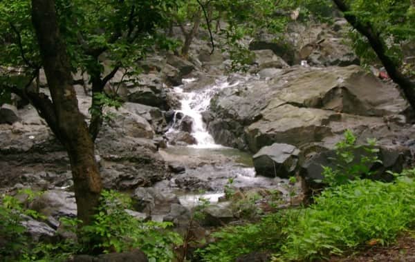 Tungareshwar Wildlife Sanctuary, Vasai