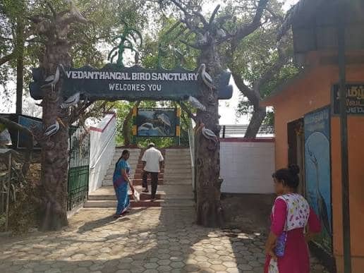 Vedanthangal Bird Sanctuary, Chennai: Timings, Ticket Price, How To Reach, Best Time to Visit